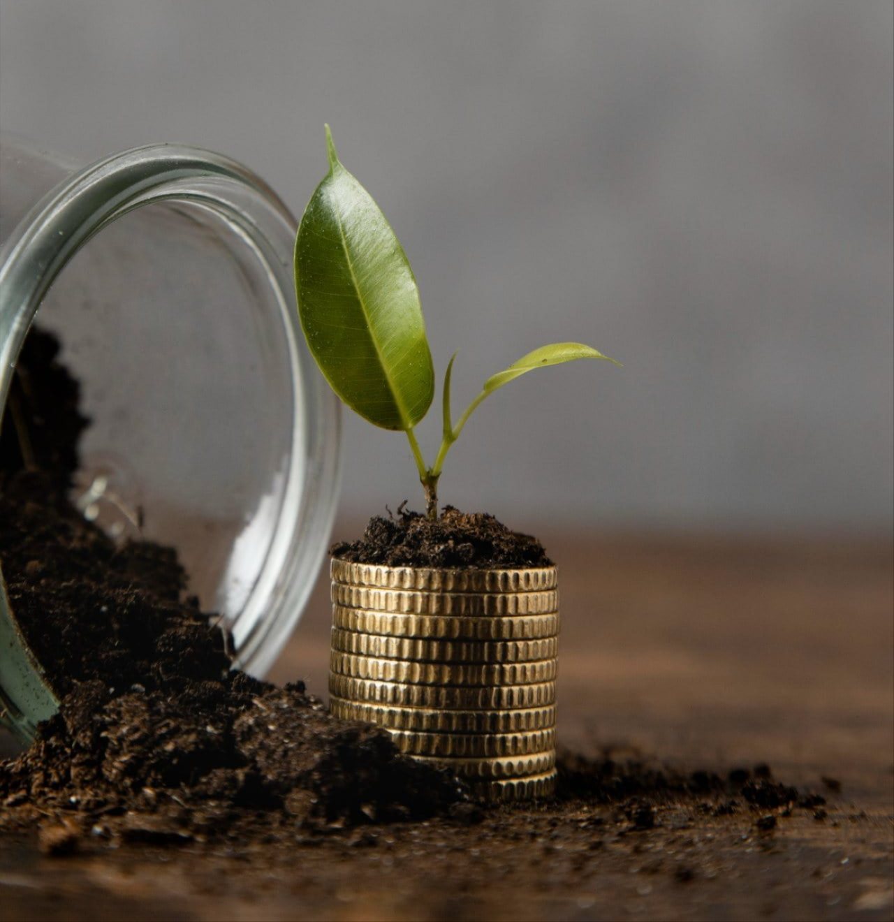 Optimisez votre fiscalité sans risque avec DFJP Conseils